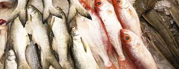 Types Of Fatty And Lean Fish Salmon Tilapia Tuna Mahi