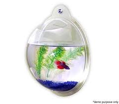 Fish Tank Wall Mounted 30cm