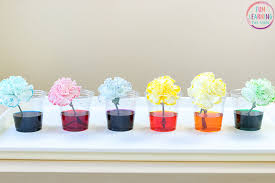 Color Changing Flowers Science Experiment