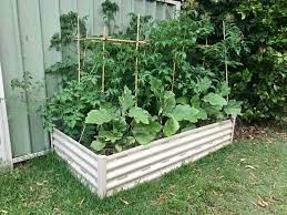 Raised Garden Bed And Weeper Hose