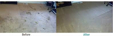 carpet cleaning vancouver wa
