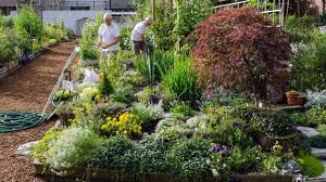 gardening could be the hobby that helps