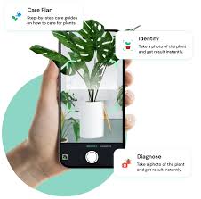 plantcam app plant identification