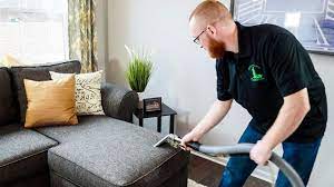 furniture cleaning taylor mi green