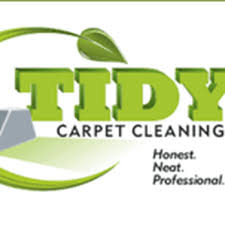 tidy green carpet cleaning 28 reviews