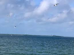 skyway fishing pier state park st