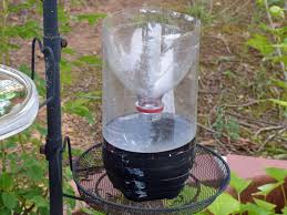 homemade wasp trap instructions how