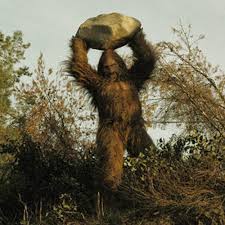 Résultat de recherche d'images pour "image de Bigfoot"