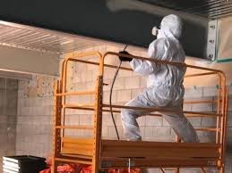 intumescent fireproofing paint and