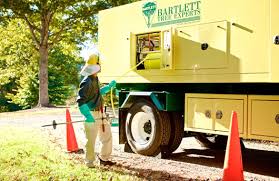 You can make your own homemade spray for the yard using ingredients you probably already have. Bartlett Tree Experts Pest And Tree Disease Management