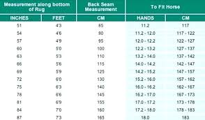 Throw Blanket Dimensions Throw Blanket Size Chart Horse