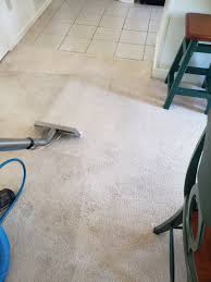 elite carpet rug cleaning