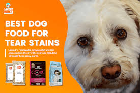 best dog food for tear stains 2023
