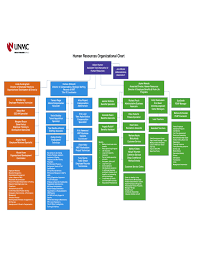 Human Resources Organizational Chart Example Free Download
