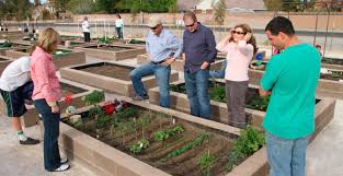 Community Garden Helps Stake Families