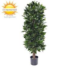 artificial laurel tree with 8 year