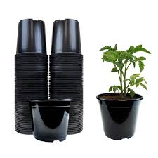 viagrow 1 2 gal plastic nursery pots