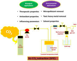 supercritical carbon dioxide extraction