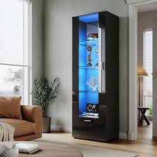 Modern Display Cabinet High Gloss Rgb