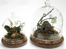 Horticulture Decorative Containers