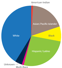 23 Abundant American Population By Race Pie Chart