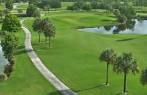 Eagle/Osprey at Okeeheelee Golf Course in West Palm Beach, Florida ...