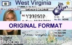 A west virginia id card renewal procedure must be completed in person at a nearby. á… Fake Id Usa All 50 States Novelty Id S New Id Card Designs Driver License Novelty Identity New Identity Software Custom Designs Of Originals