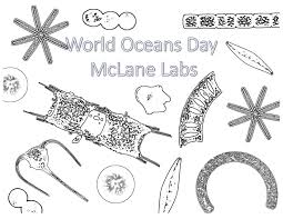 Printable coloring and activity pages are one way to keep the kids happy (or at least occupie. Phytoplankton Coloring Page For World Oceans Day 2019 Mclane Labs