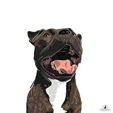 96305 views | 203799 downloads. Custom Digital Portrait A Custom Made Portrait Of Your Dog Canis Stellar