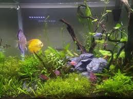 aquarium tank in coimbatore