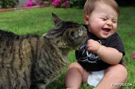 Image result for gambar baby comel