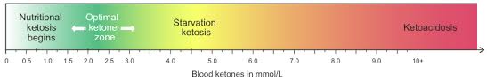 What Is Ketosis Is It Safe Diet Doctor
