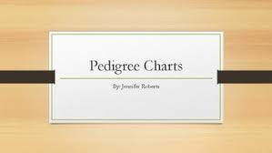 How To Make A Pedigree Chart