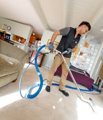 become a professional carpet cleaner