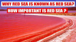 why red sea is known as red sea how