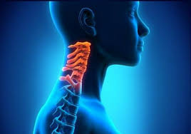 A cervical spinal cord injury prognosis is serious and includes paralysis. Que Es Vertebras Cervicales Definicion Y Que Es 2021