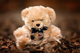 teddy bear names 500 cool cute
