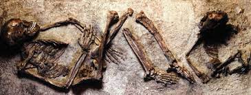 PaleoAnthropology+ on Twitter: "RT @ChrisStringer65 Jebel Qafzeh 6 early Homo sapiens skull from Israel ~100ka https://t.co/271OA79wBO" / Twitter