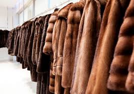 Fur Dry Cleaning Looka Bio Dry Cleaning
