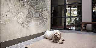 carpet environmentally friendly wool carpet