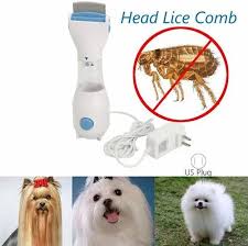 kill lice treatment pet hair cleaner