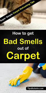 bad smells and odors out of carpet