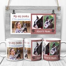 20 gifts for boston terrier in