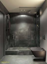 Bathroom Ideas For Basement