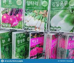 Dasio is a japanese dollar store, and they have locations throughout korea. Daiso Markt In Korea Floriert Kimchi Saatgut Fur Fruhjahr Redaktionelles Stockbild Bild Von Blumen Saatgut 174657554