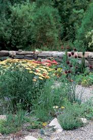 tips for gardening in a drought
