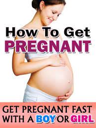 Tip #1 to get pregnant fast: How To Get Pregnant Get Pregnant Fast The Natural Way With A Boy Or Girl Kindle Edition By Whistler Noemi Health Fitness Dieting Kindle Ebooks Amazon Com