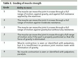 Manual Muscle Testing Grading Scale Muscle Power Muscle