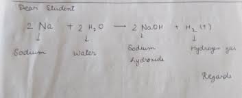 balanced equation for sodium water