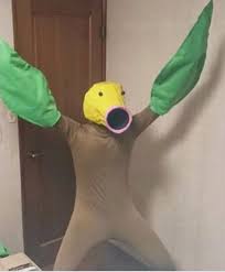 Cass's bell-sprout costume look anything like this? One of my favourite  images on the internet. : r/sanspantsradio